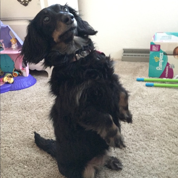 Meet your Posher, Mark - Picture 1 of 1